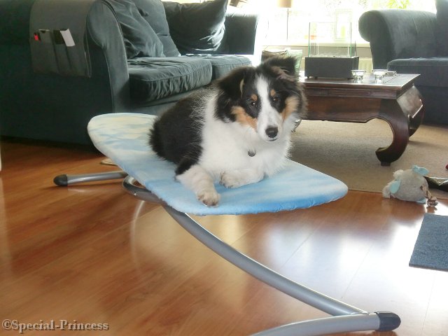 Sky is ook hulp in de huishouding